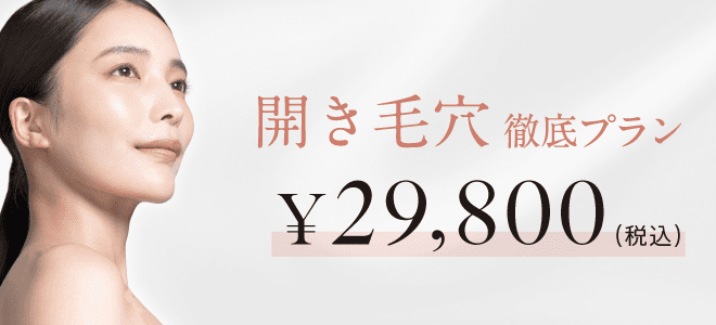開き毛穴徹底プラン 29,800円